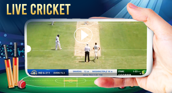 Cricket screenshot 1