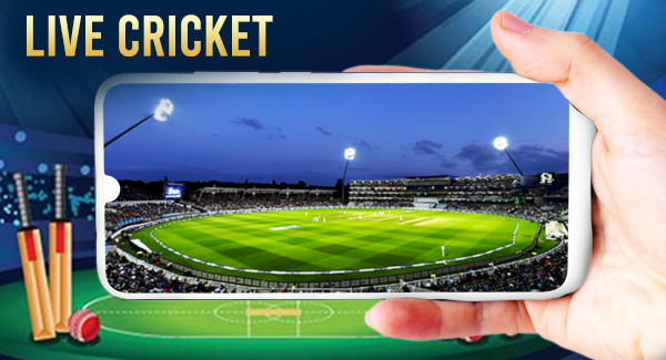 Cricket screenshot 3