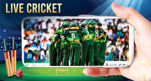 Cricket screenshot 5