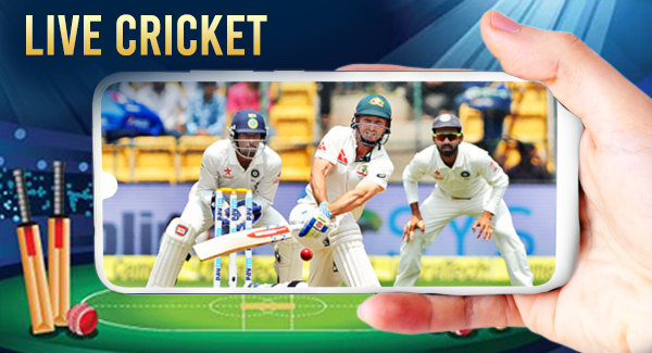 Cricket screenshot 6